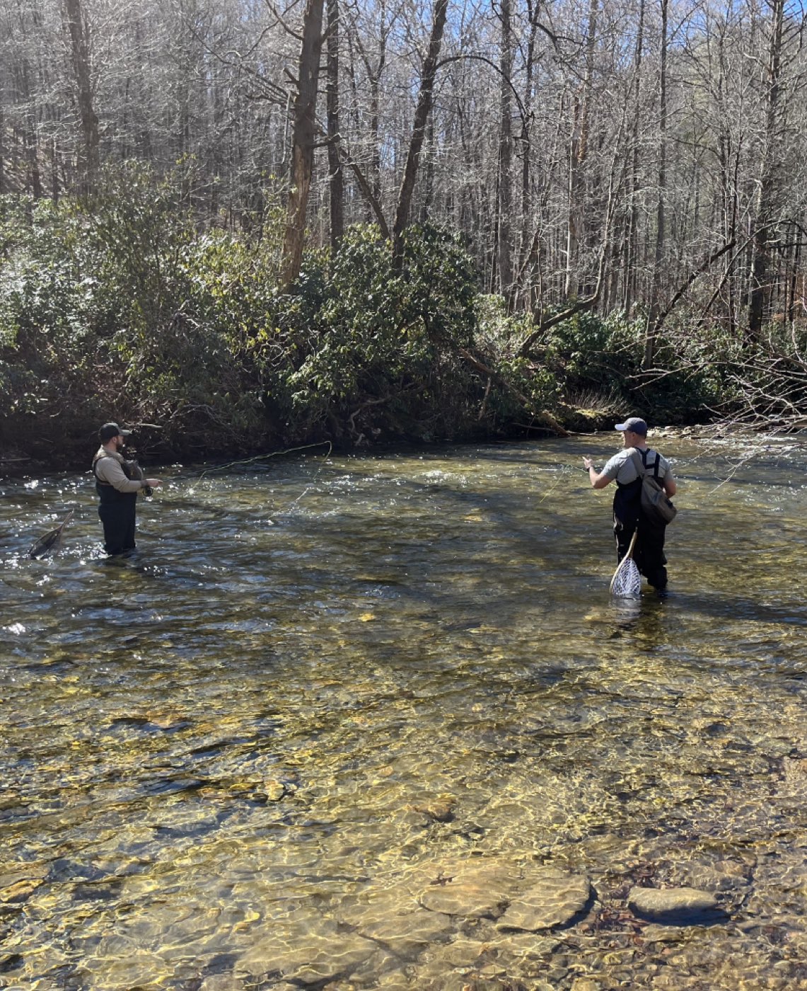 Two anglers wading and fly fishing a clear Blue Ridge trout stream